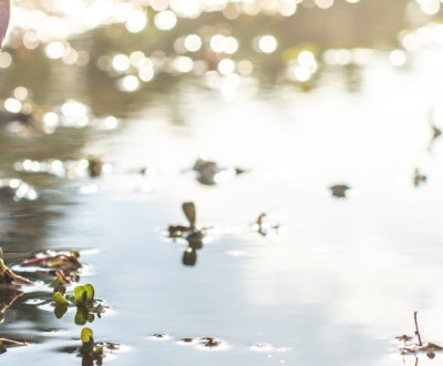 Яким повинен бути ph води для пиття